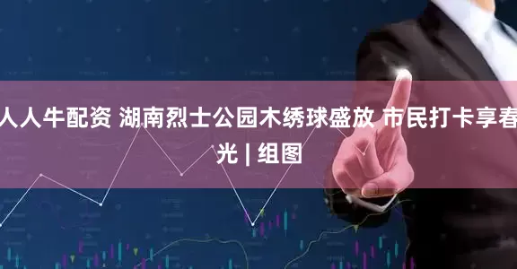 人人牛配资 湖南烈士公园木绣球盛放 市民打卡享春光 | 组图